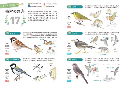 野鳥観察手帖2026 – 丸善ジュンク堂書店ネットストア