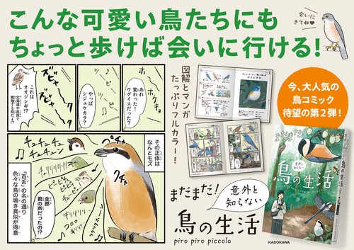 まだまだ！意外と知らない鳥の生活 – 丸善ジュンク堂書店ネットストア