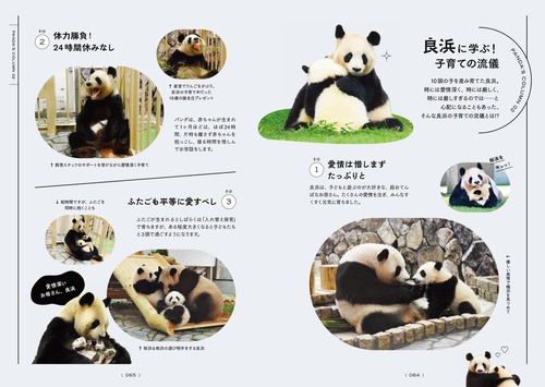 アドベンチャーワールド　メダル　　7頭　4頭　パンダ　浜家　2点セット アドベンチャーワールド メダル 7頭 4頭 パンダ 浜家 2点セット