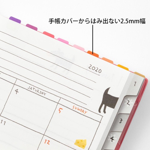 新品未使用❗️ルミナラ バーチピラー 大、小 2個セット販売 ピーラー キンピラピーラー スライサー ごぼう 千切り にんじん