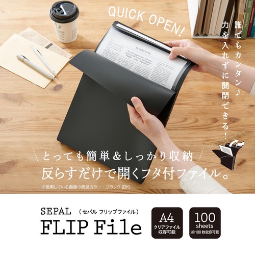 未開封 BORUTO 非売品 A4 クリアファイル 2種セット ゼブラック当選品 セパル セパル フリップファイル A4タテ ブラック クリア