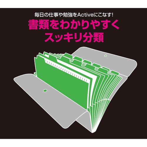 【原価ぶっ壊し割引】トリオンフ ドキュメントホルダー act3906_y_1.jpg
