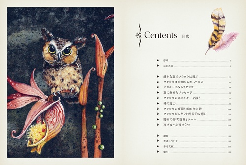 フクロウの夜会 神秘のフクロウ – 丸善ジュンク堂書店ネットストア