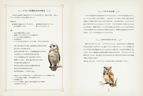 神秘のフクロウ – 丸善ジュンク堂書店ネットストア