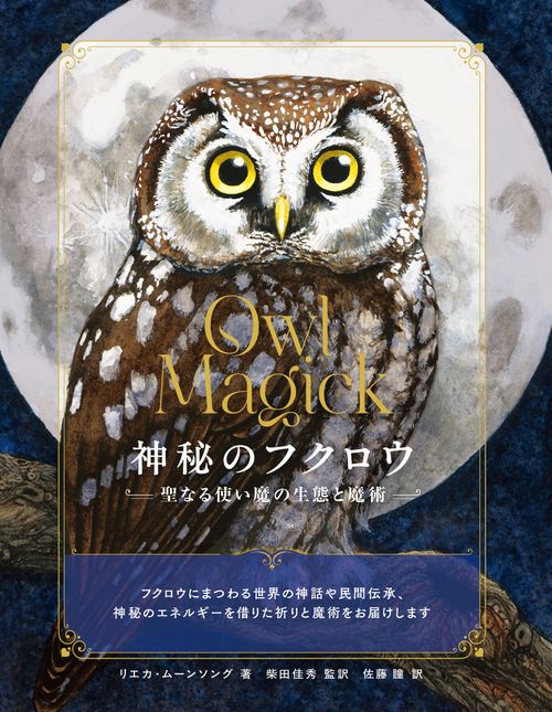 神秘のフクロウ – 丸善ジュンク堂書店ネットストア