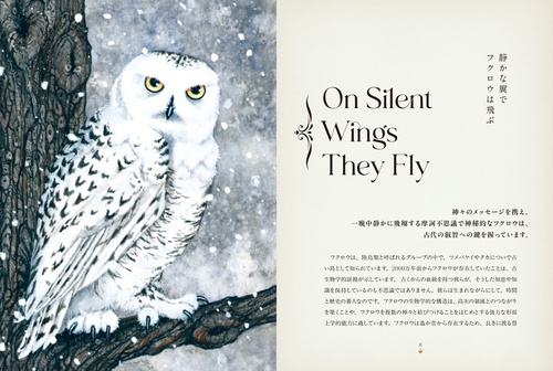 神秘のフクロウ – 丸善ジュンク堂書店ネットストア