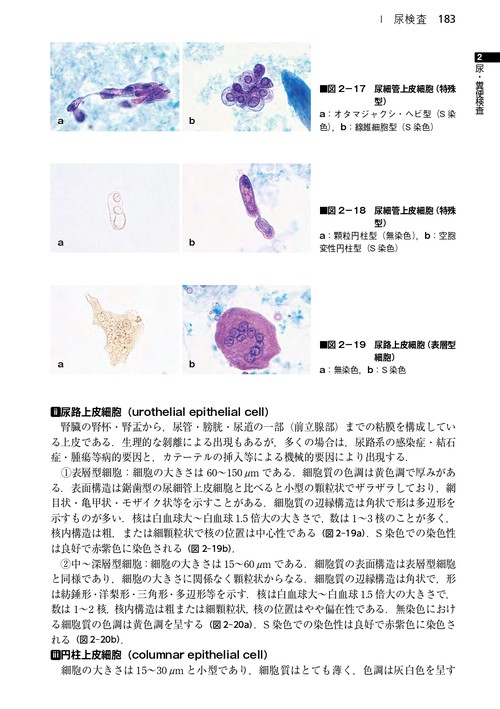 臨床検査法提要 改訂第35版 楽天市場】臨床検査法提要 改訂第35版の通販