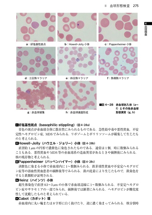 臨床検査法提要 改訂第36版 – 丸善ジュンク堂書店ネットストア