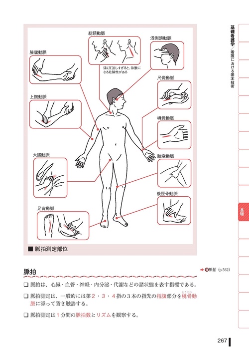 看護 国試試験問題集 看護学生スタディガイド 看護学生スタディガイド2022 - 照林社