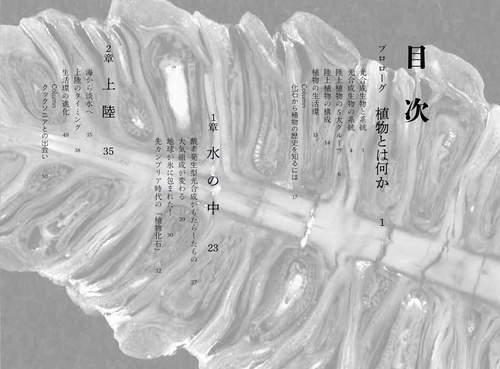 化石が語る植物の進化5億年史 – 丸善ジュンク堂書店ネットストア