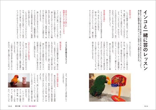 インコがほんとうの家族になる – 丸善ジュンク堂書店ネットストア