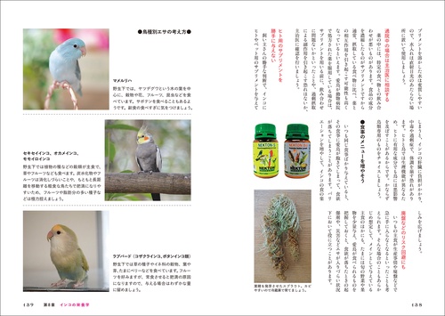 インコがほんとうの家族になる – 丸善ジュンク堂書店ネットストア