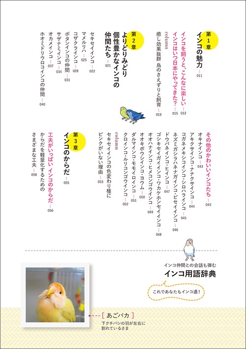 インコがほんとうの家族になる – 丸善ジュンク堂書店ネットストア