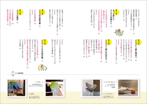 インコがほんとうの家族になる – 丸善ジュンク堂書店ネットストア