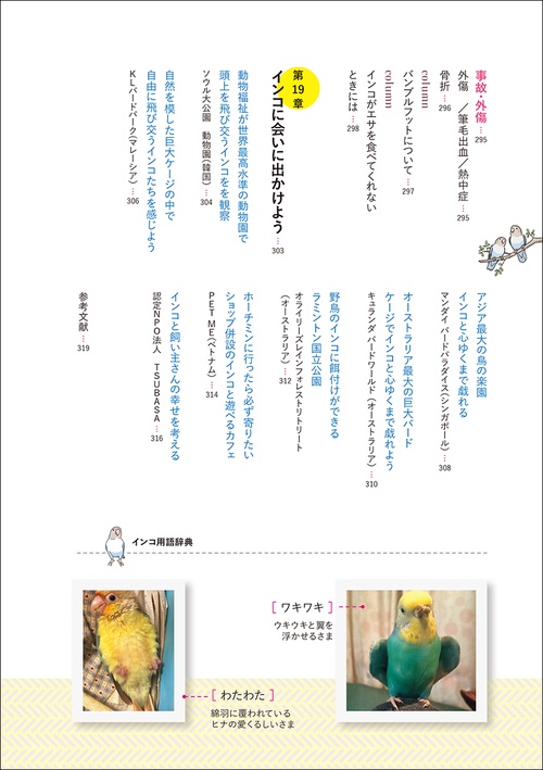 インコがほんとうの家族になる – 丸善ジュンク堂書店ネットストア