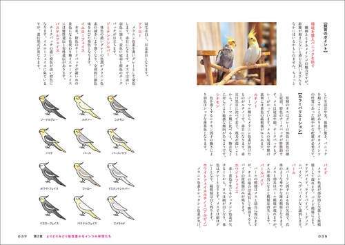 インコがほんとうの家族になる – 丸善ジュンク堂書店ネットストア