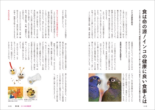 インコ家族様オーダー品 インコがほんとうの家族になる – 丸善ジュンク堂書店ネットストア
