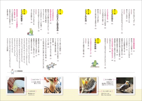 インコがほんとうの家族になる – 丸善ジュンク堂書店ネットストア