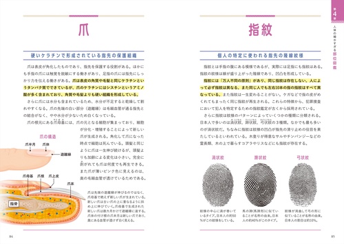 世界一細かい人体図鑑 – 丸善ジュンク堂書店ネットストア