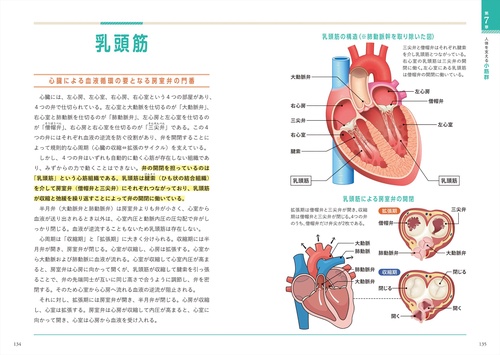 世界一細かい人体図鑑 – 丸善ジュンク堂書店ネットストア