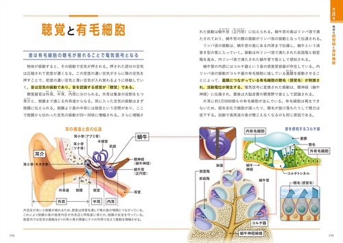世界一細かい人体図鑑 – 丸善ジュンク堂書店ネットストア
