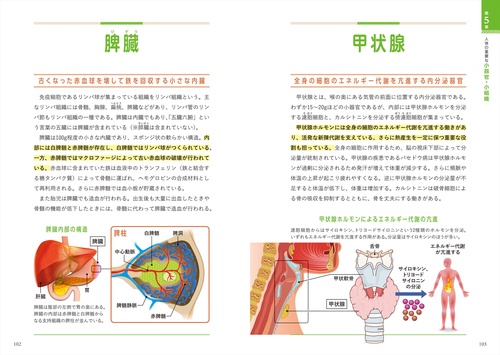 世界一細かい人体図鑑 – 丸善ジュンク堂書店ネットストア