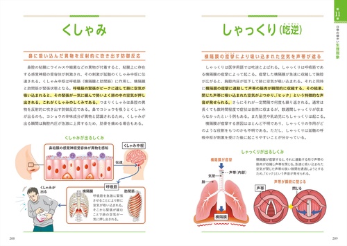 世界一細かい人体図鑑 – 丸善ジュンク堂書店ネットストア