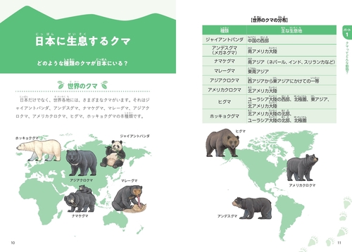 にっぽんのクマ – 丸善ジュンク堂書店ネットストア