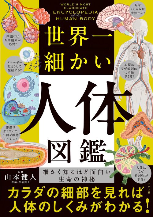 週刊　世界人類百科　第1号〜33号 私たちは何者？ボーダレス・ドールズ｜青幻舎 SEIGENSHA Art