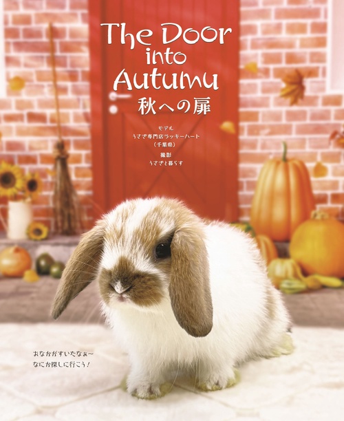 うさぎと暮らす (2025年10月号) [雑誌] – 丸善ジュンク堂書店ネットストア