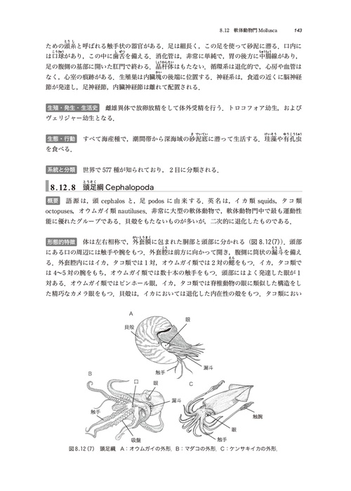 動物の系統分類進化学 – 丸善ジュンク堂書店ネットストア