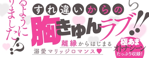 離縁を申し出たら溺愛されるようになりました!? ～将軍閣下は年下妻に