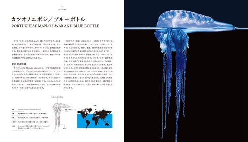 美しい、詳しい世界のクラゲ図鑑 – 丸善ジュンク堂書店ネットストア