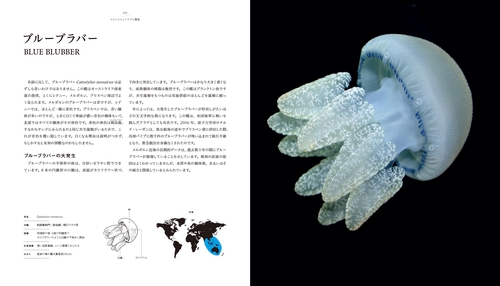 美しい、詳しい世界のクラゲ図鑑 – 丸善ジュンク堂書店ネットストア