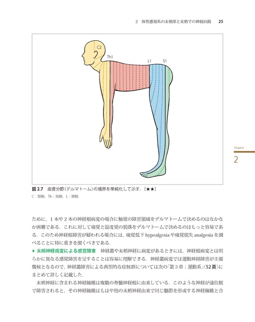 神経局在診断 第7版 その解剖，生理，臨床 – 丸善ジュンク堂書店