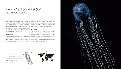 美しい、詳しい世界のクラゲ図鑑 – 丸善ジュンク堂書店ネットストア