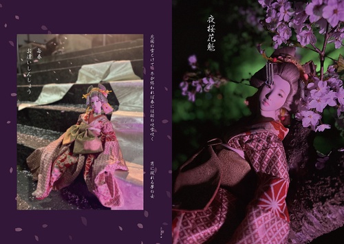 遊びめ人形 – 丸善ジュンク堂書店ネットストア