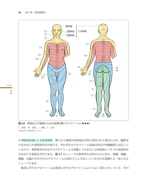 神経局在診断 第7版 その解剖，生理，臨床 – 丸善ジュンク堂書店