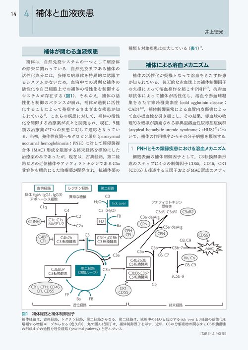 血液疾患最新の治療2026-2028 – 丸善ジュンク堂書店ネットストア