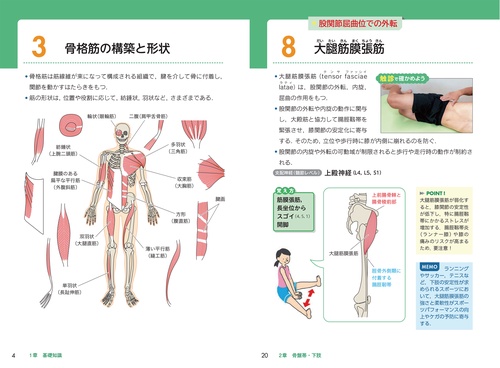 筋電図のための解剖ガイド: 四肢・体幹 筋電図のための解剖ガイド: 四肢・体幹 | AldoO. Perotto, 良二, 栢森