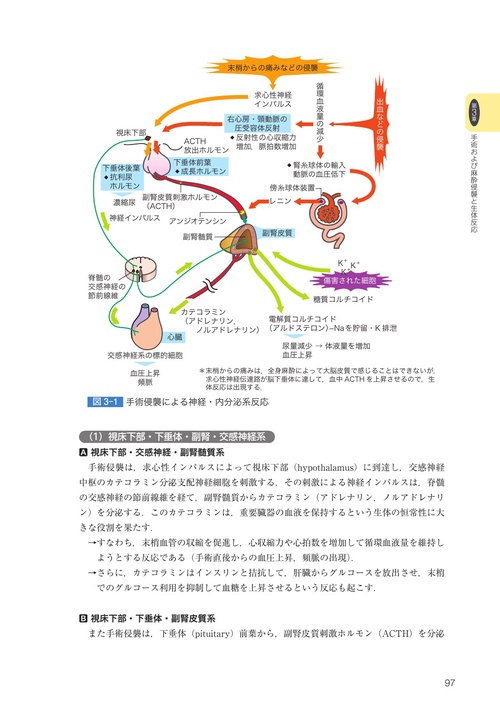 講義から実習へ 高齢者と成人の 周術期看護 術中・術後編第4版 – 丸善