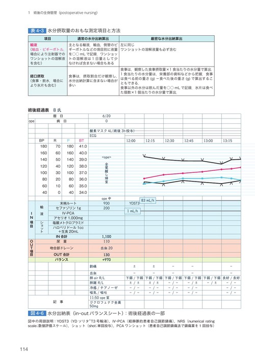 講義から実習へ 高齢者と成人の 周術期看護 術中・術後編第4版 – 丸善