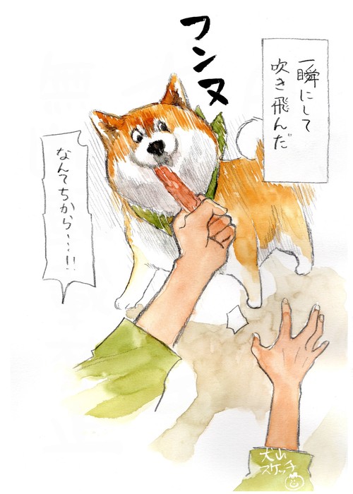 柴犬ぽんちゃん、今日もわが道を行く2 – 丸善ジュンク堂書店ネットストア