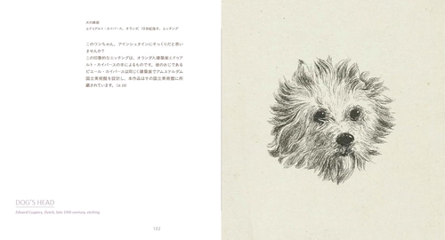 犬の博物館 – 丸善ジュンク堂書店ネットストア