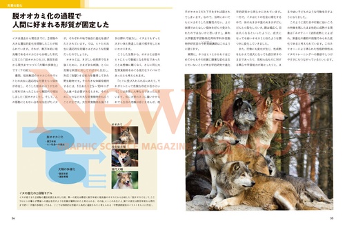 Newton（ニュートン）増刊 Wan!tonイヌの科学 (2025年12月 別冊