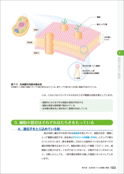大学で学ぶ 身近な生物学 第2版 – 丸善ジュンク堂書店ネットストア