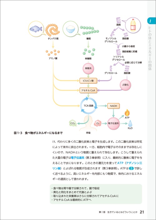 セット2冊】(上)善と悪の生物学 (下)善と悪の生物学