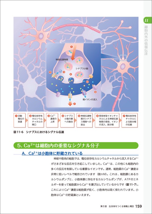 大学で学ぶ 身近な生物学 第2版 – 丸善ジュンク堂書店ネットストア