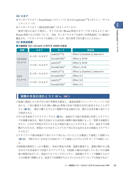 Underwater消化器内視鏡 All about “Underwater Endoscopy” – 丸善
