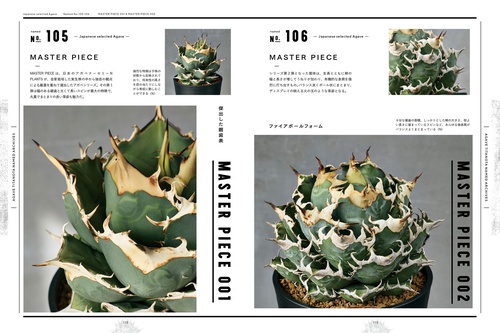 アガベ・チタノタ ネームド図鑑 – 丸善ジュンク堂書店ネットストア